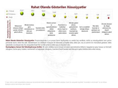 Rapor Örneği 403