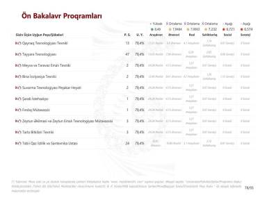 Rapor Örneği 436